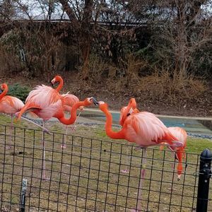 Meet your Posher, Connie